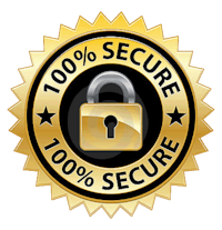 100 % secure logo